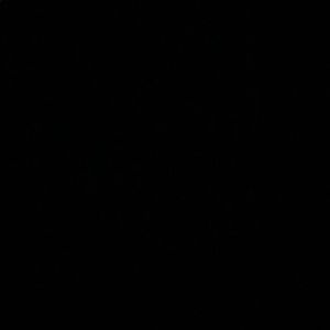 Meet your Posher, Bryant